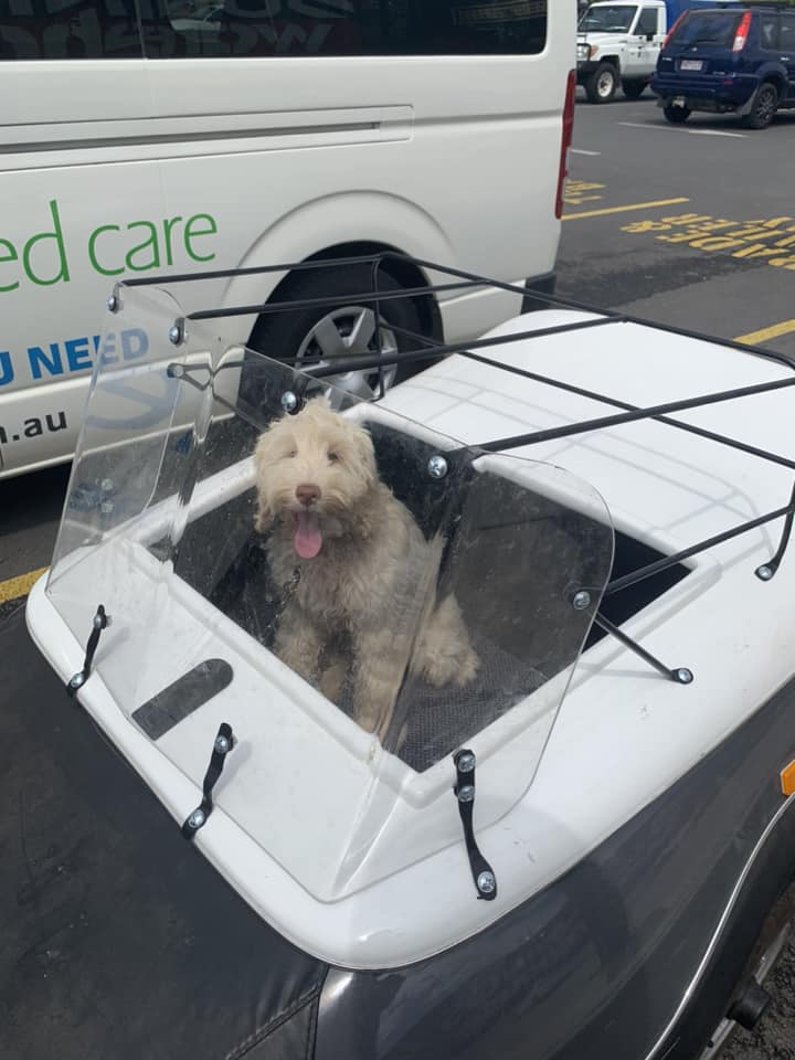 Jagger loved the motorbike trailer and here he is when it was still being built