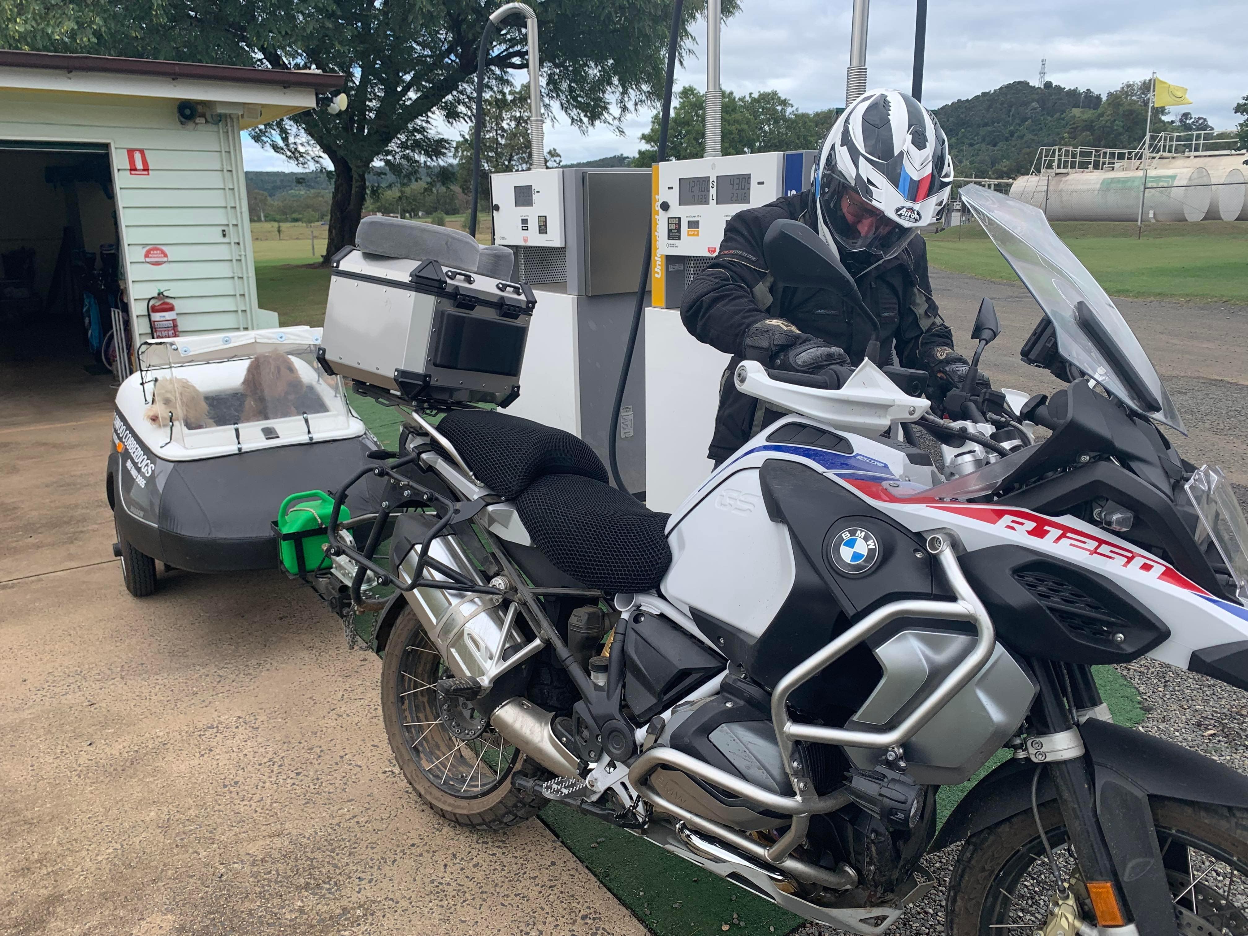 Asa and jagger both australian cobberdogs love to go for rides with us in their personalised motorbike trailer